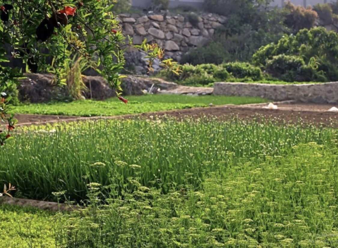 صورة الجدول