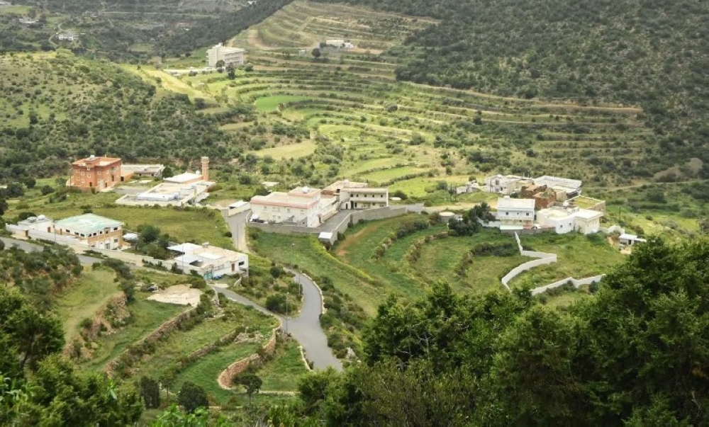 صورة الجدول